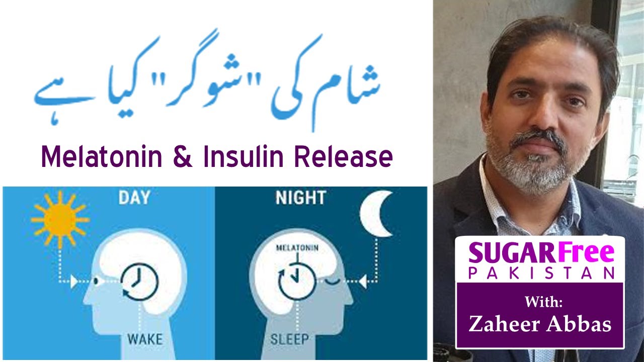 Melatonin & Insulin Release