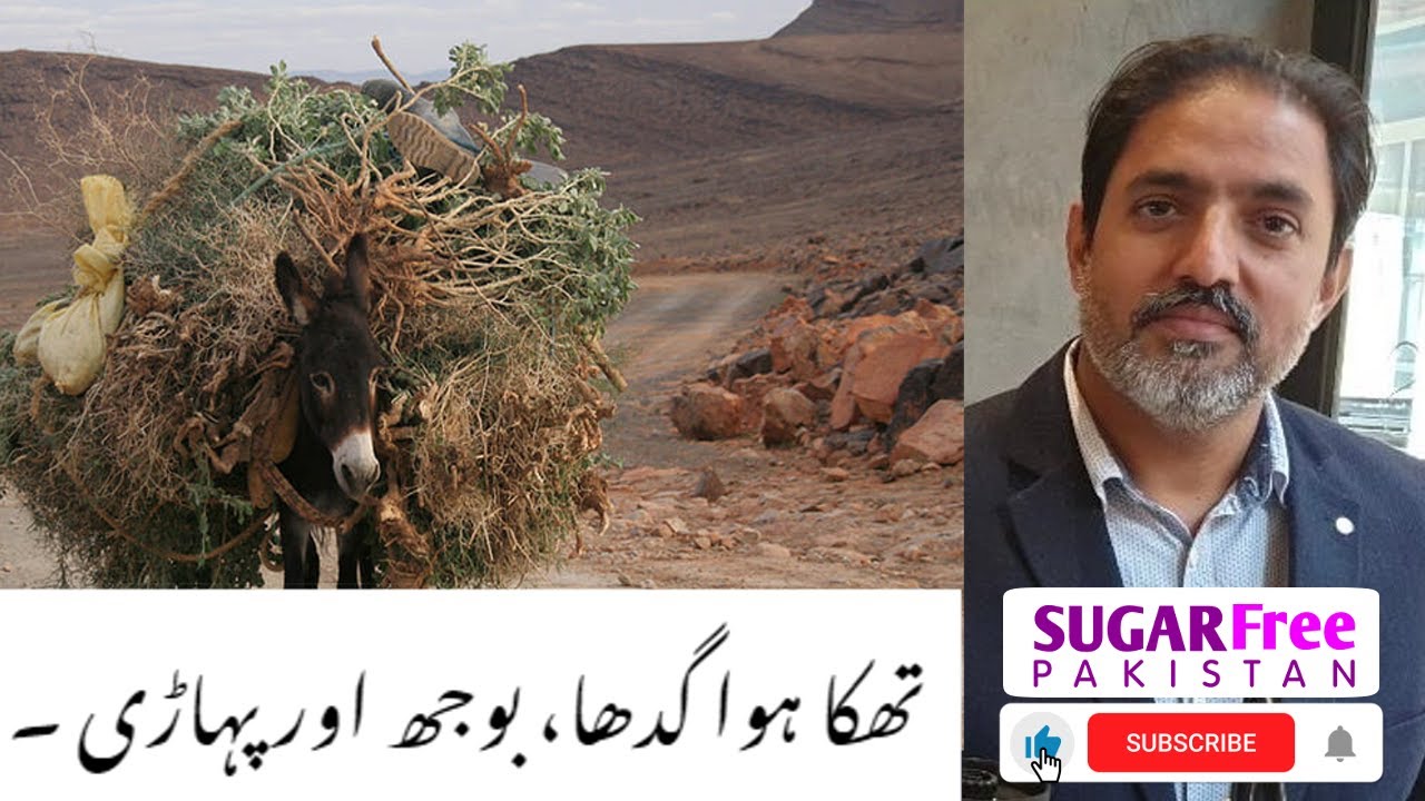 تھکا ہوا گدھا، بوجھ اور پہاڑی